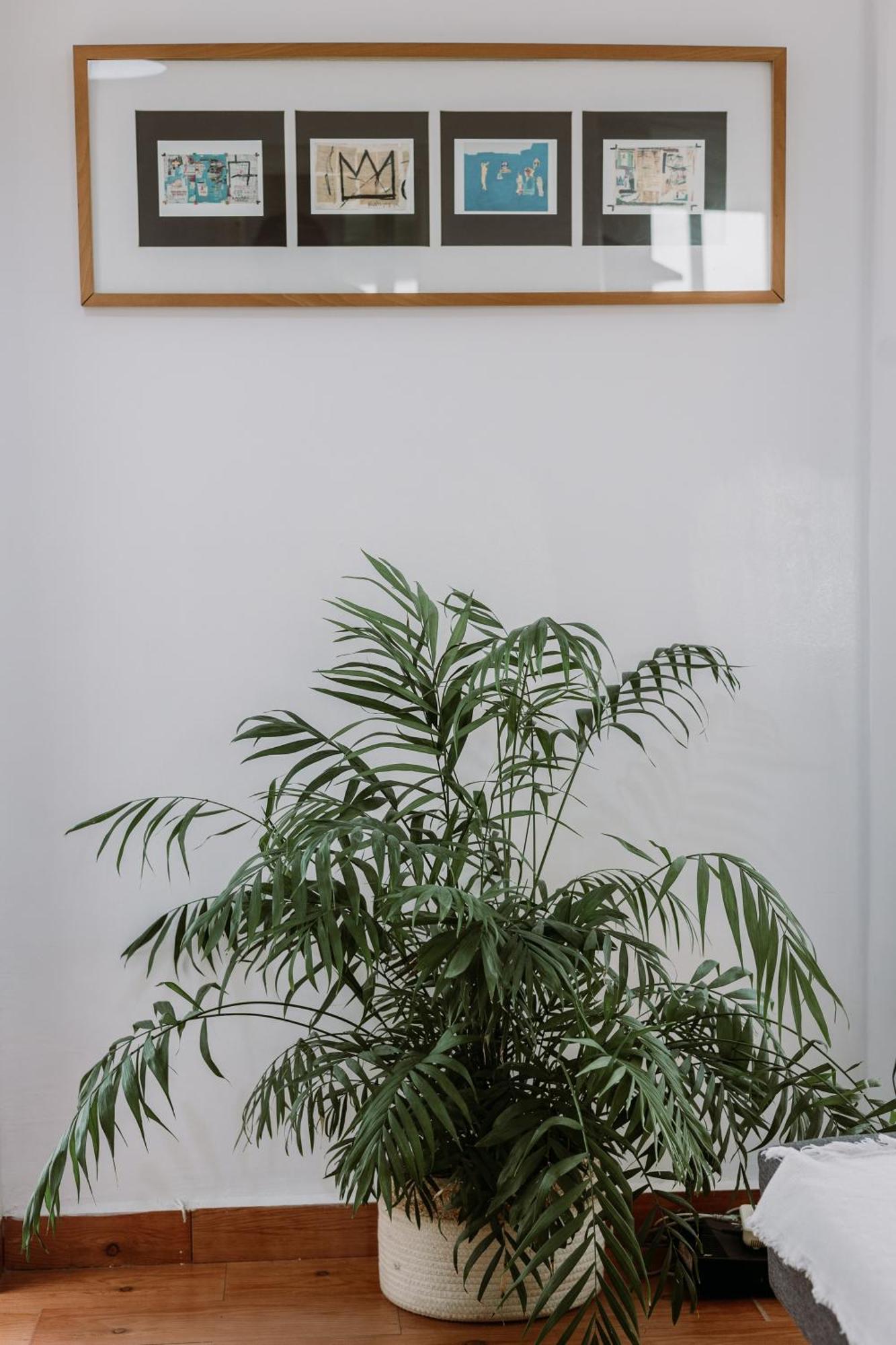 Spacious Central Apartment Sevilla Buitenkant foto